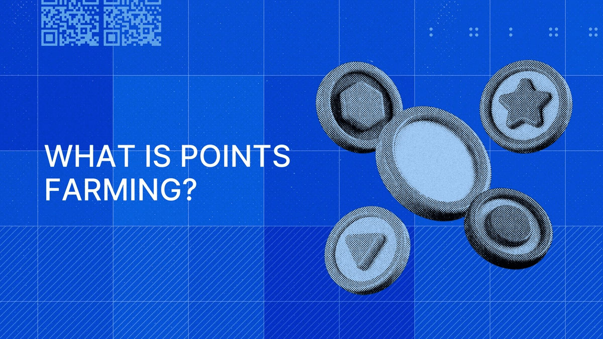 Points Meta Airdrop Analysis